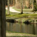 Nicolien